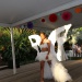 IMG_8851 IMG_8851