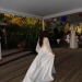 IMG_8914 IMG_8914
