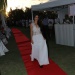 IMG_8952 IMG_8952