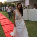 IMG_8954 IMG_8954