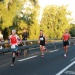 IMG_3967 IMG_3967