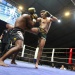 P-IMG_5815