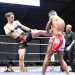 IMG_6153 IMG_6153
