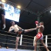 IMG_6147 IMG_6147