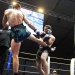 IMG_6070 IMG_6070