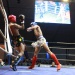 IMG_6031 IMG_6031