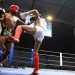 IMG_6012 IMG_6012
