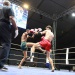 IMG_5951 IMG_5951