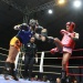 IMG_5939 IMG_5939