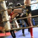 IMG_5892 IMG_5892