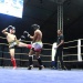 IMG_5887 IMG_5887
