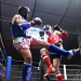 IMG_5782 IMG_5782