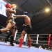 IMG_5672 IMG_5672