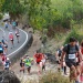IMG_6891 IMG_6891