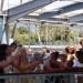 IMG_1488 IMG_1488