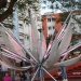 IMG_9657 IMG_9657
