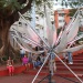 IMG_9658 IMG_9658
