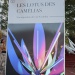IMG_9607 IMG_9607