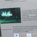 IMG_9608 IMG_9608