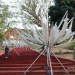 IMG_9623 IMG_9623