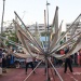 IMG_9655 IMG_9655