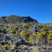 33-IMG_3551