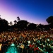 25.07.25-jazzdannport-jour2-1060724