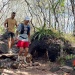 IMG_6189 IMG_6189