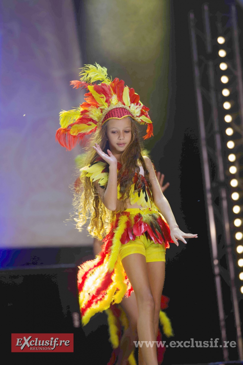 AI6Q3085 - Indiennes AI6Q3085 - Indiennes