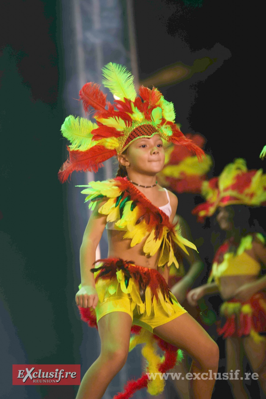 AI6Q3095 - Indiennes AI6Q3095 - Indiennes