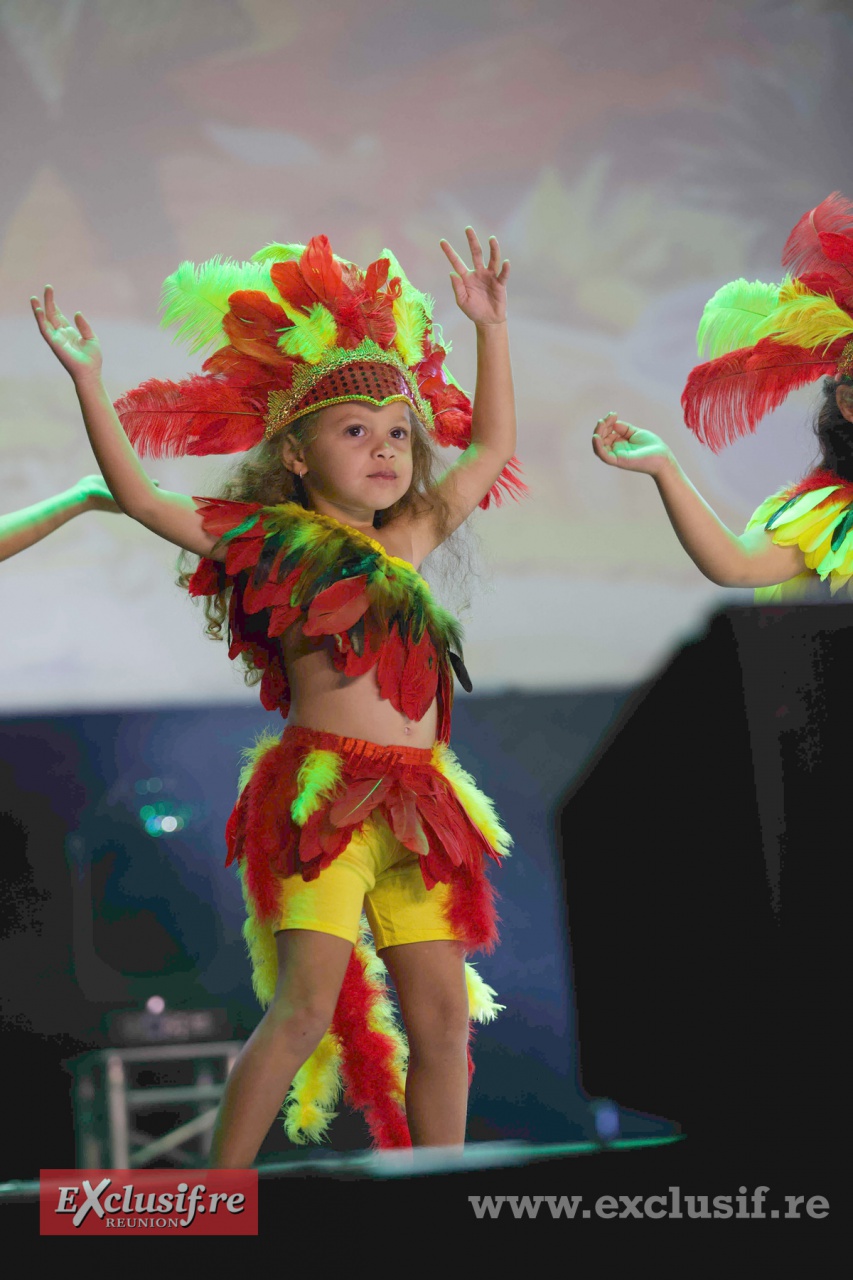 AI6Q3100 - Indiennes AI6Q3100 - Indiennes