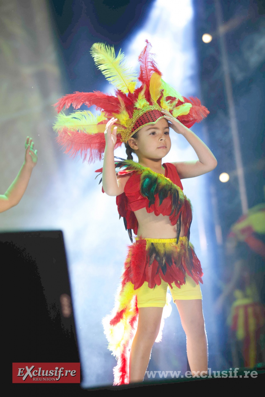 AI6Q3101 - Indiennes AI6Q3101 - Indiennes