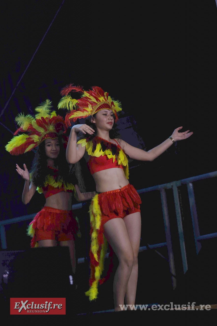 AI6Q3082 - Indiennes AI6Q3082 - Indiennes