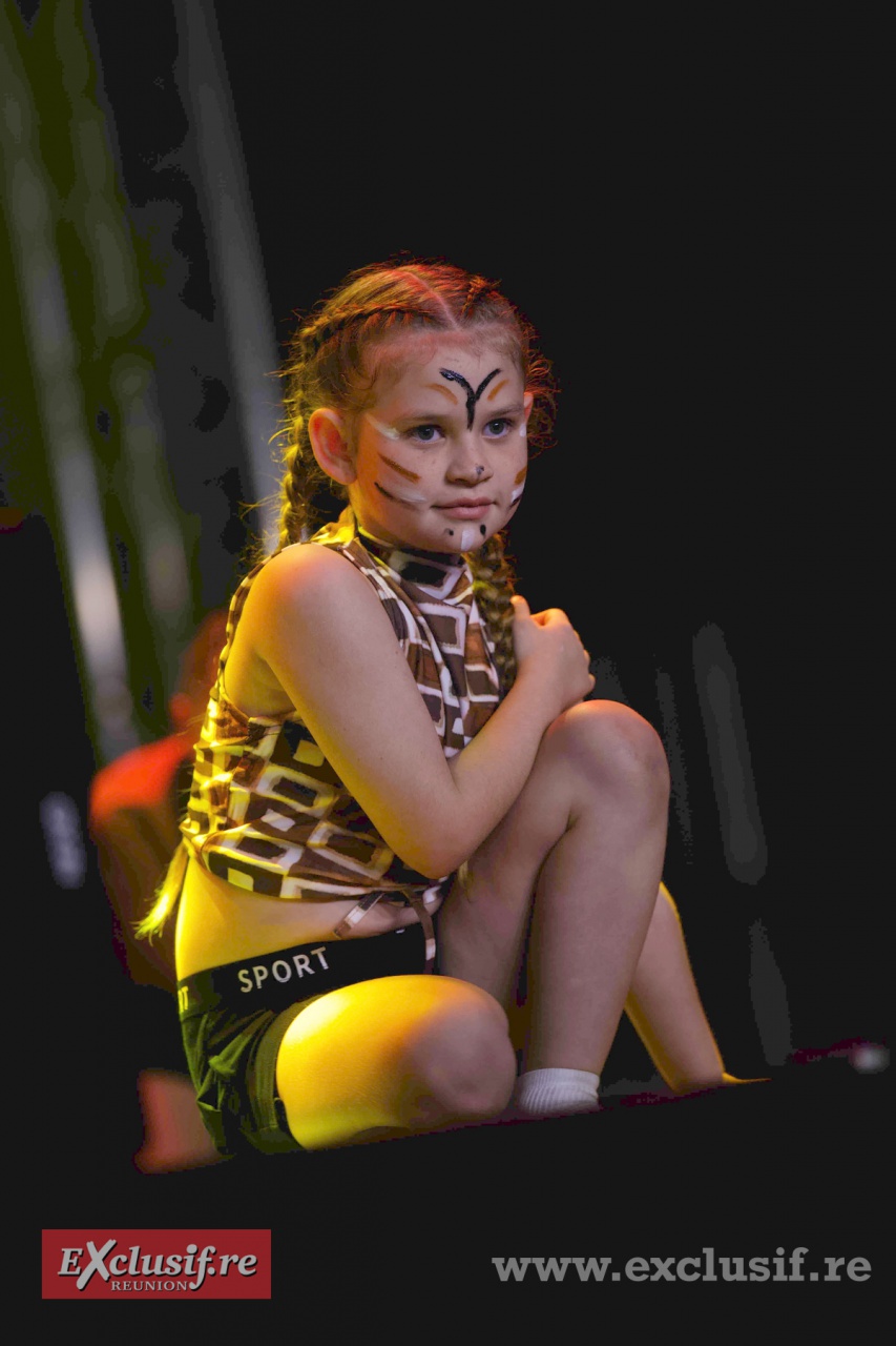 AI6Q3066 - Indiennes AI6Q3066 - Indiennes